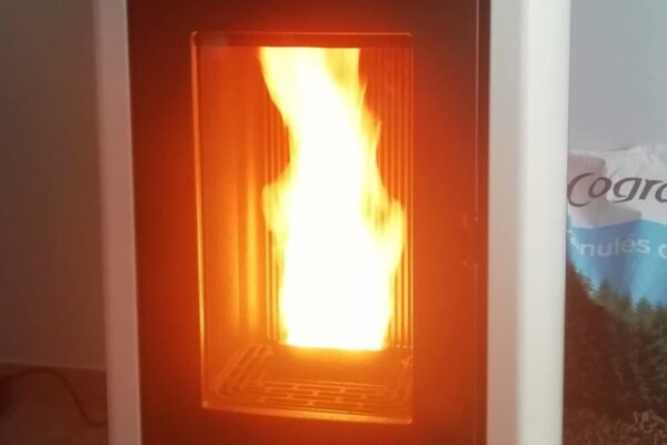 cropped-IMG_20210224_162713-scaled-1.jpg cropped-IMG_20210224_162713-scaled-1.jpg